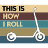 E-Scooter Roller Scooter