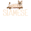 Siamesische Katze Geschenke