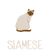 Siamese Cat Gifts