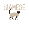 Siamesische Katze Geschenke