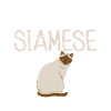 Siamese Cat Gifts