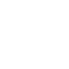Édition limitée 1999