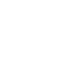 Limited Edition 1995
