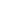 Édition limitée 2006