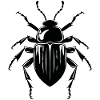 Insectes, bestioles, arthropodes