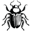 Insectes, bestioles, arthropodes