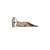 Otter