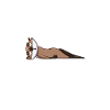 Otter Seeotter Fischotter Geschenk
