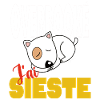 Overbooké j'ai sieste