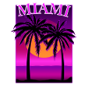Miami plamen beach