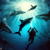 Divemaster 2