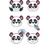 Panda and Bubble Tea