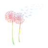 Dandelion glider dandelion glider glider