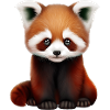 Roter Panda