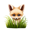 Petit renard caché dans l’herbe