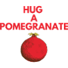 HUG A POMEGRANATE