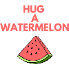 HUG A WATERMELON