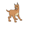 Kawaii caracal