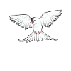 Kawaii Arctic tern