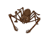 Araignée Fléau Kawaii
