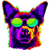 Stylish four-legged friend with sunglasses