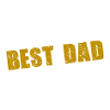 No.1 BEST DAD T-Shirt