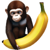 Cute monkey with giant banana