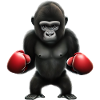 Boxer Gorille