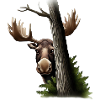 Cache-cache : Orignal