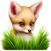 Fox in the tall grass