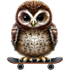 Hibou patineur