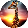 Young giraffe in sunset