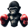 Boxer Gorille