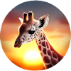 Young giraffe in sunset