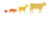 Retro Farm Animal