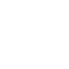 Yakutskaïa Laïka Amour