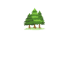 Forest Trees Hike