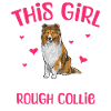 Langhaarcollie Rough Collie Hund