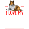 Longhair Collie Rough Collie Dog