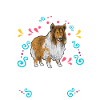Longhair Collie Rough Collie Dog