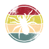 Spin