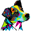Bunter Hund