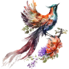 Oiseau de paradis