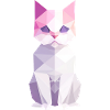 Geometric Cat
