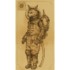Cat to the Moon