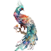 Aquarelle Oiseau