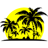 Island Summer Palm Beach