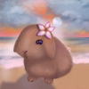 Bunny at the beach