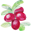 Cranberry