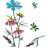 Herbs, chamomile, bees
